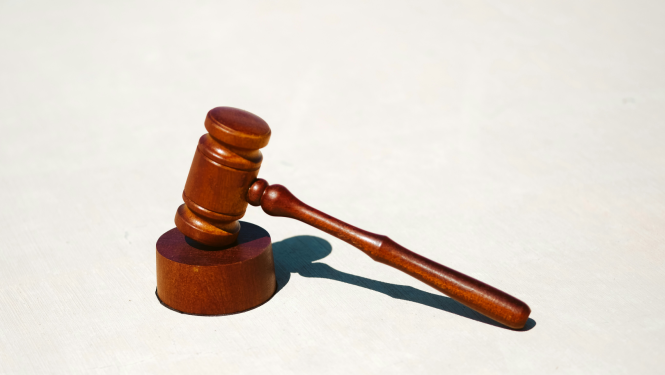 Tiesas āmurs uz balta fona