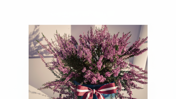 Attēlā redzama vāze ar viršiem un latvijas karogu apkārt vāzei