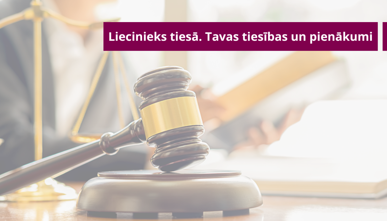 Attēlā attēlots tiesneša āmurs ar svariem un cilvēku, un raksta nosaukums