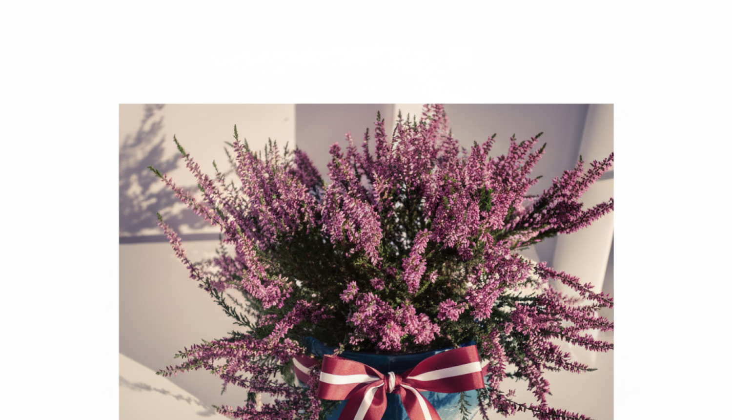 Attēlā redzama vāze ar viršiem un latvijas karogu apkārt vāzei